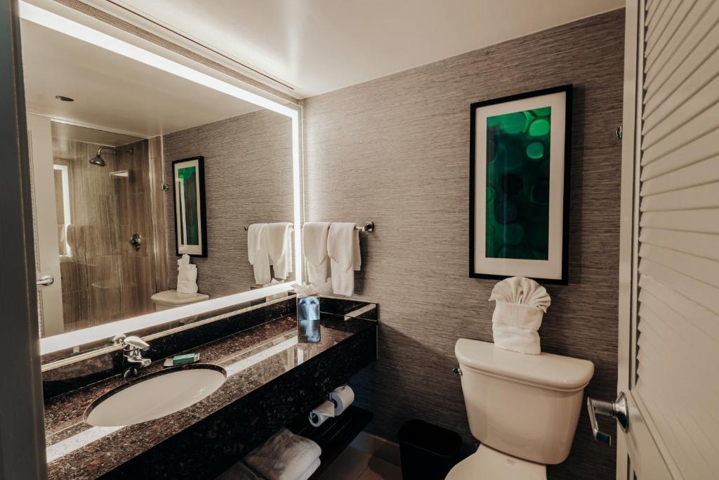DoubleTree Suites by Hilton Hotel & Conference Center Chicago-Downers Grove - Executive King Suite