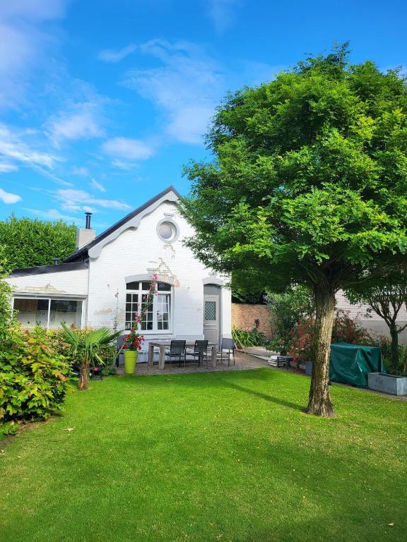 une maison blanche avec un arbre dans la cour dans l'établissement La petite maison blanche, à Dunkerque