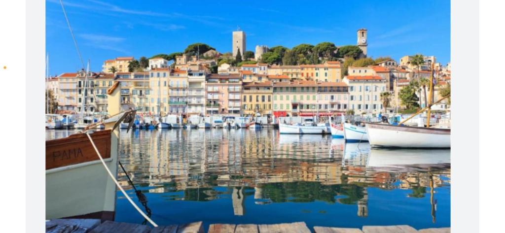un groupe de bateaux amarrés dans un port avec des bâtiments dans l'établissement Cannes hyper centre quartier historique du suquet -palais-croisette, à Cannes