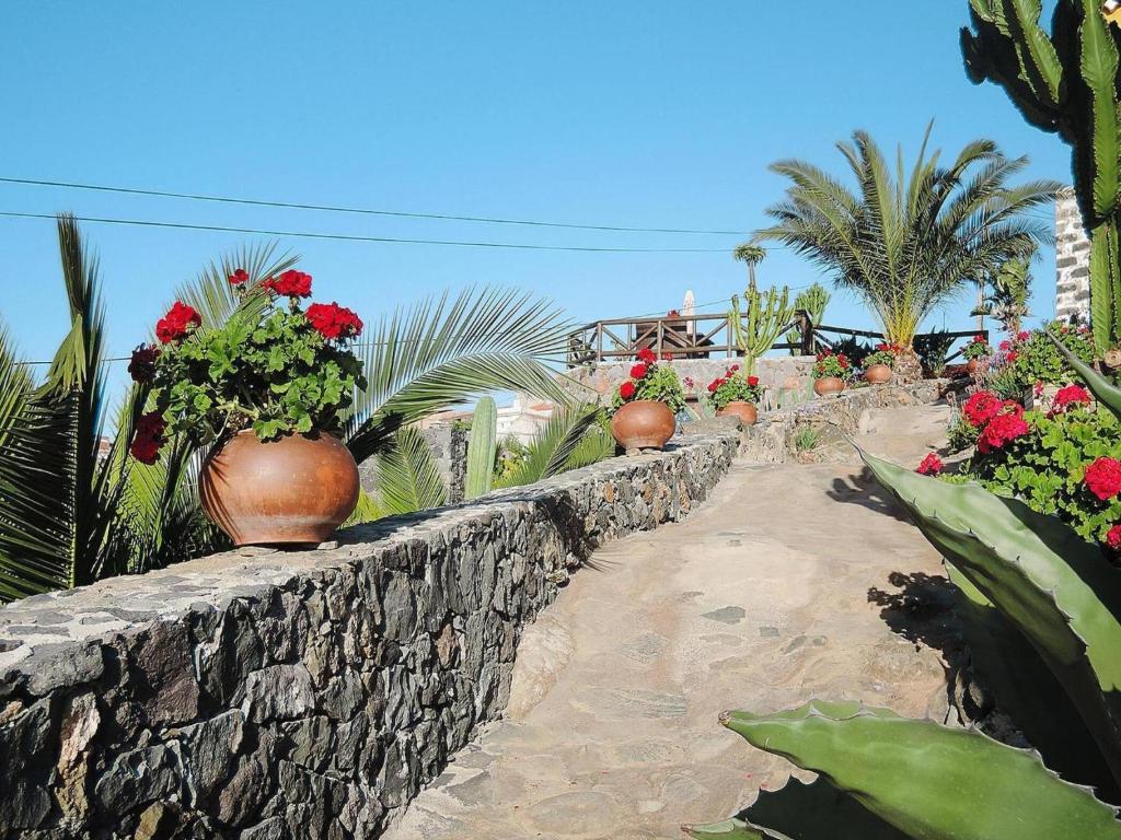 A garden outside Holiday Home in Vera de Erques