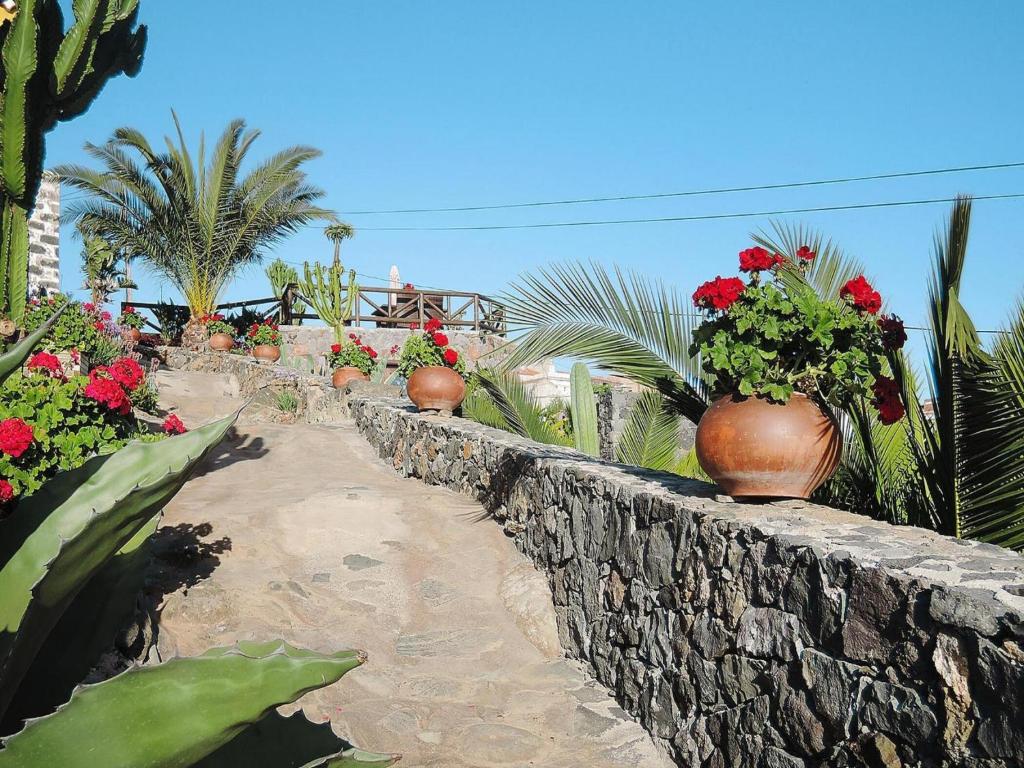 A garden outside Holiday Home in Vera de Erques