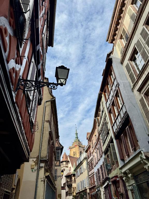 Amety – photo 37