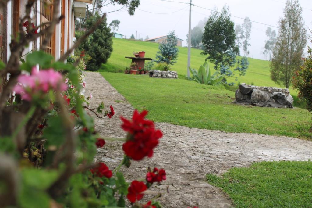 Zahrada ubytování Casa Pukyu Pata
