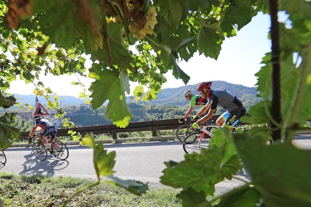 Jízda na kole v ubytování Agriturismo Al Credazzo nebo okolí