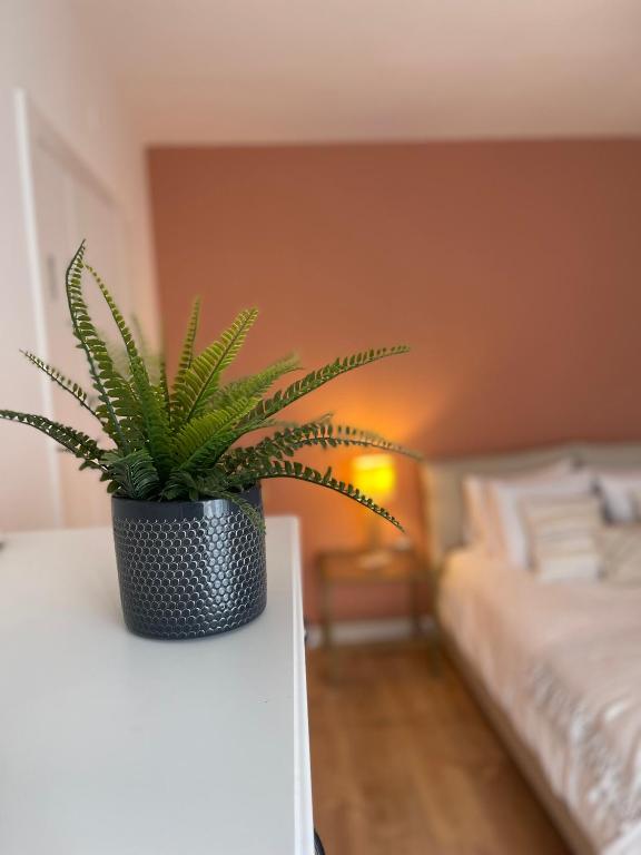 Anatole Résidence - FRANCE