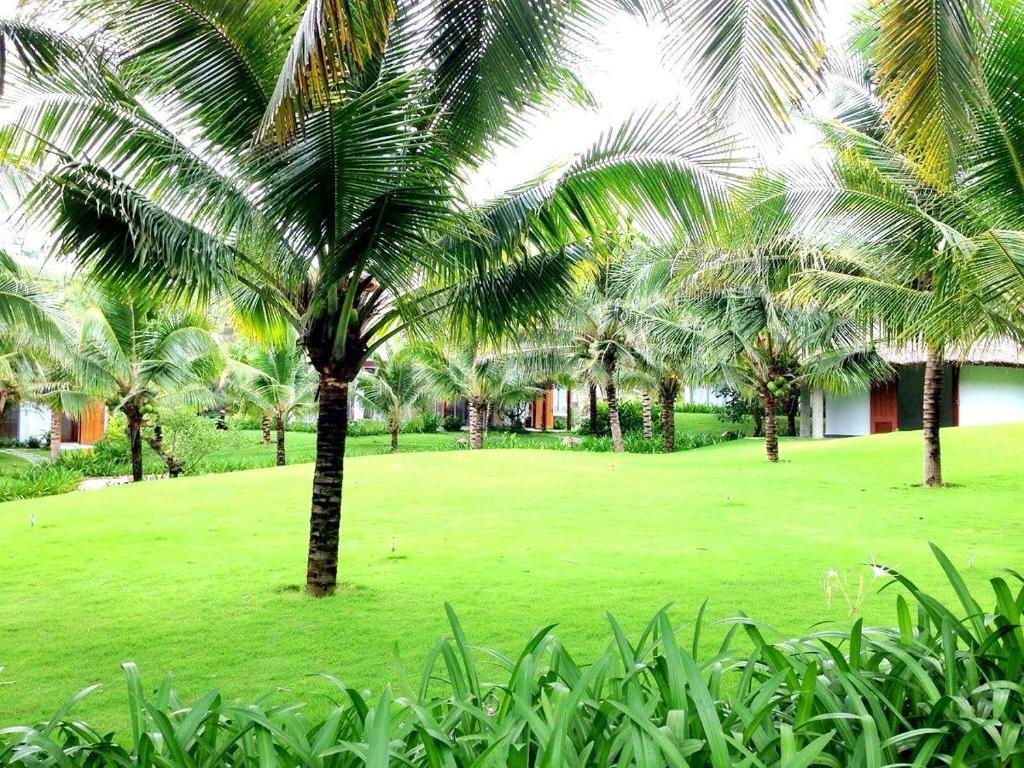 Sonata Resort & Spa - 6