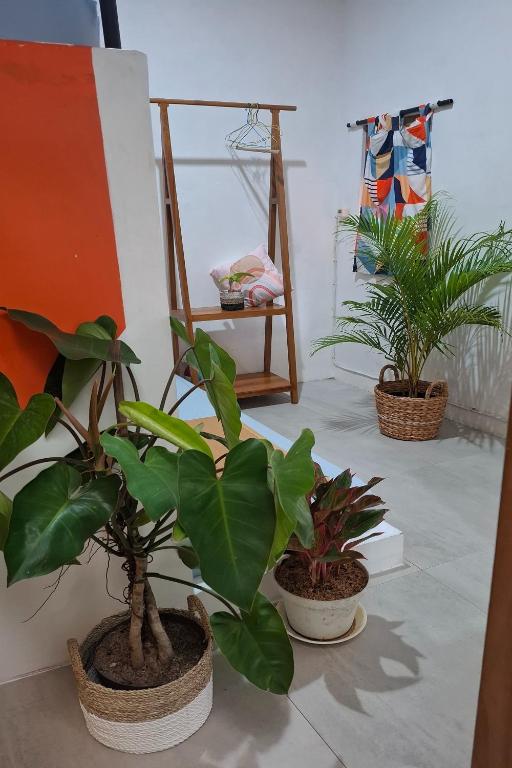 Fotografie z fotogalerie ubytování Bring In House Yogyakarta v destinaci Yogyakarta