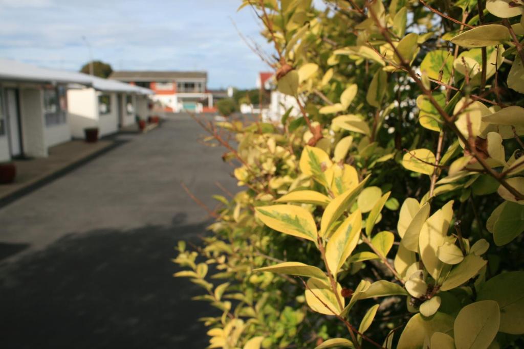 Arcadian Motel - Resim 24