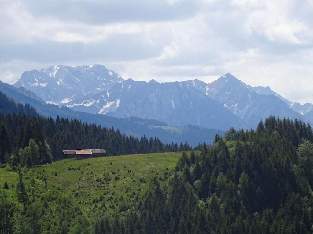 Příroda nedaleko prázdninového domu