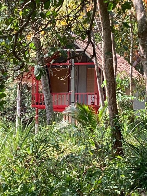 a red house in the middle of a forest at Presente in Ko Phayam
