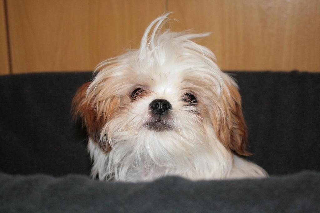 Arcadian Motel - Resim 36