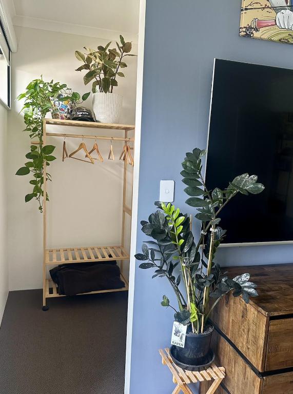 TV a/nebo společenská místnost v ubytování Master bedroom Beechboro