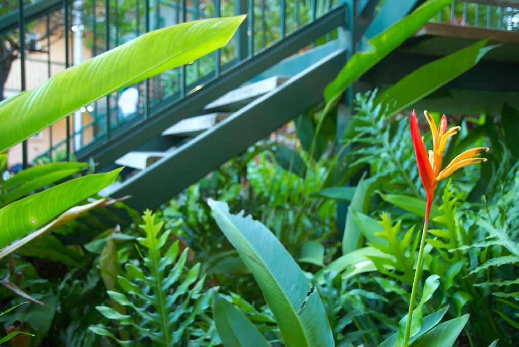 Alatai Holiday Apartments - Resim 11