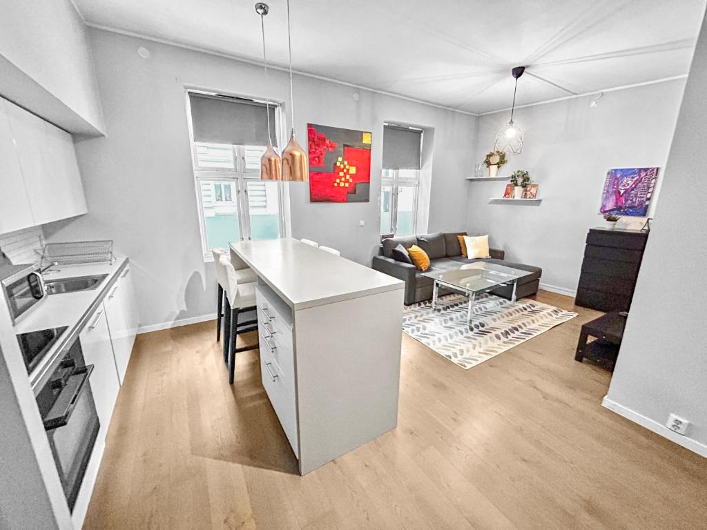 オスロにあるExclusive and Central Apartment in Vikaのキッチン、リビングルーム(カウンタートップ付)