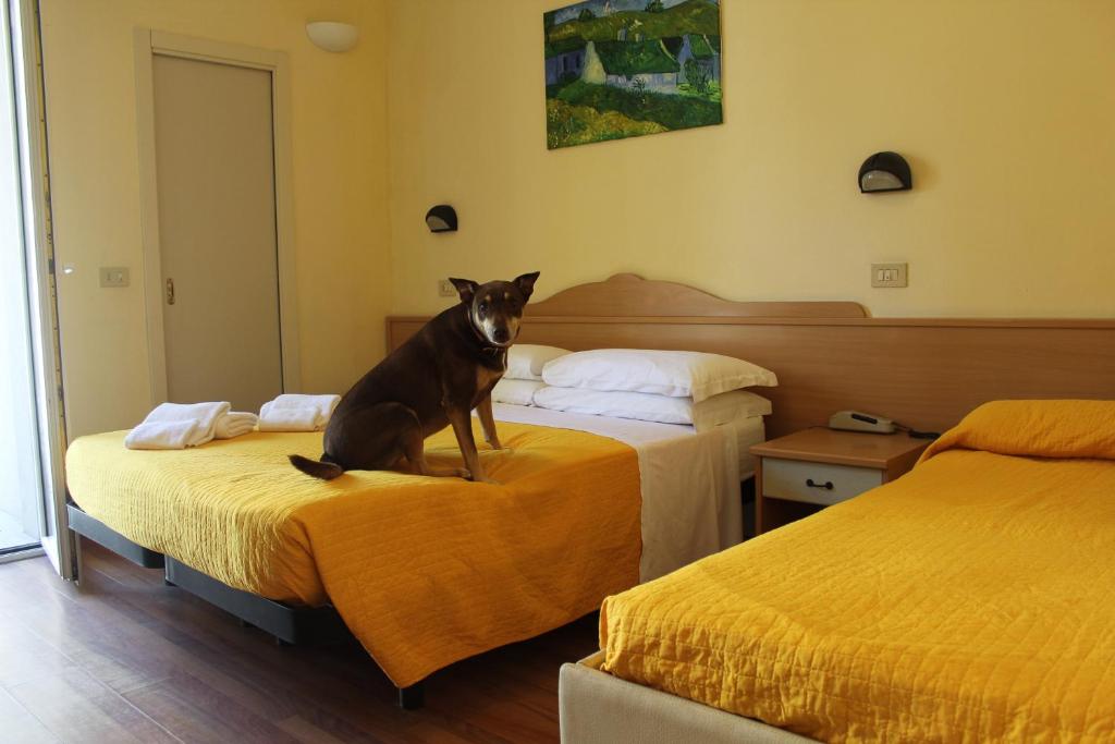 Postel nebo postele na pokoji v ubytování Pet Hotel Virginia - Hotel per cani