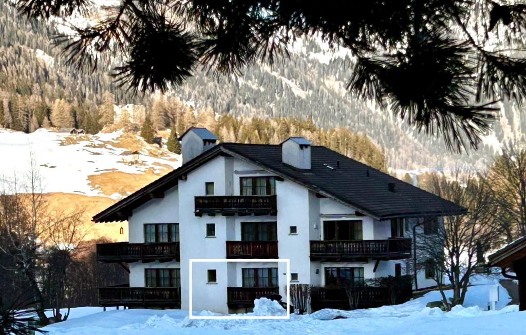 Příroda nedaleko apartmánu