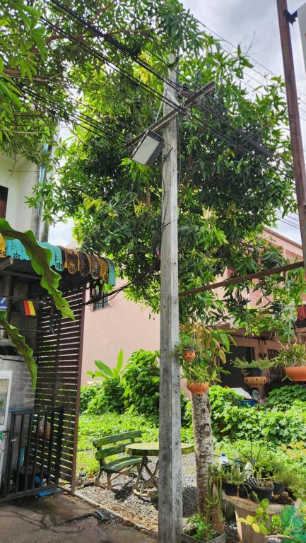 a pole with a light on it next to a tree at Yenta4fafad in Ban Na Ta Luang (1)