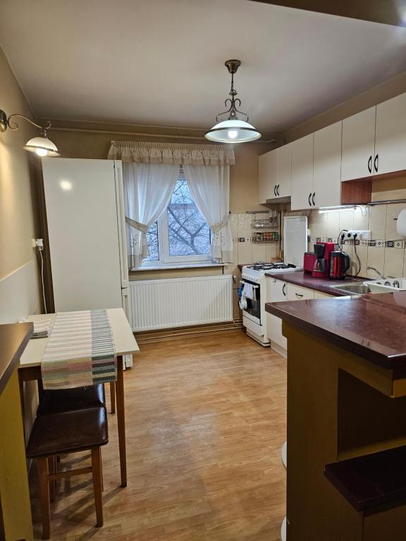 Kuchyň nebo kuchyňský kout v ubytování Apartament David Deva - 2 dormitoare & 1 living
