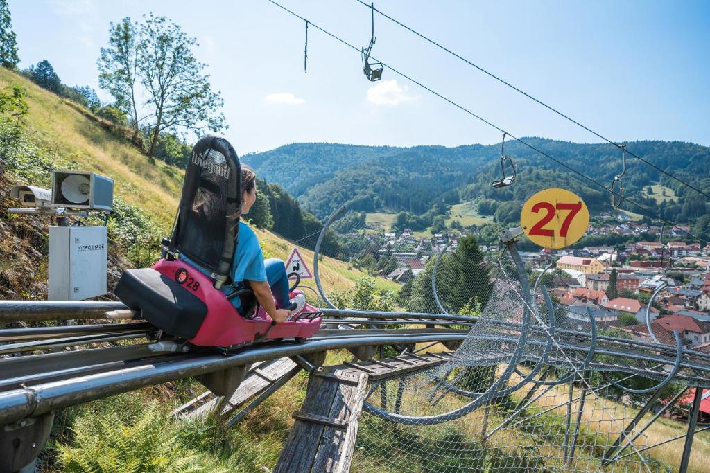 Příroda nedaleko apartmánu