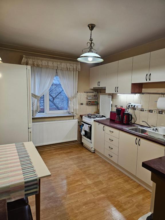 Kuchyň nebo kuchyňský kout v ubytování Apartament David Deva - 2 dormitoare & 1 living