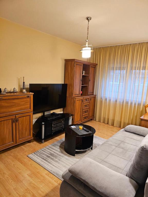 TV a/nebo společenská místnost v ubytování Apartament David Deva - 2 dormitoare & 1 living