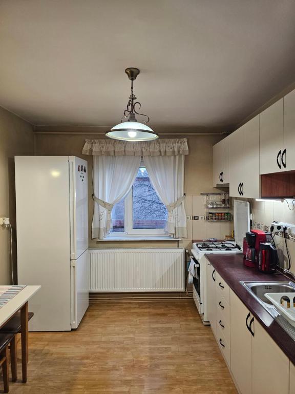 Kuchyň nebo kuchyňský kout v ubytování Apartament David Deva - 2 dormitoare & 1 living