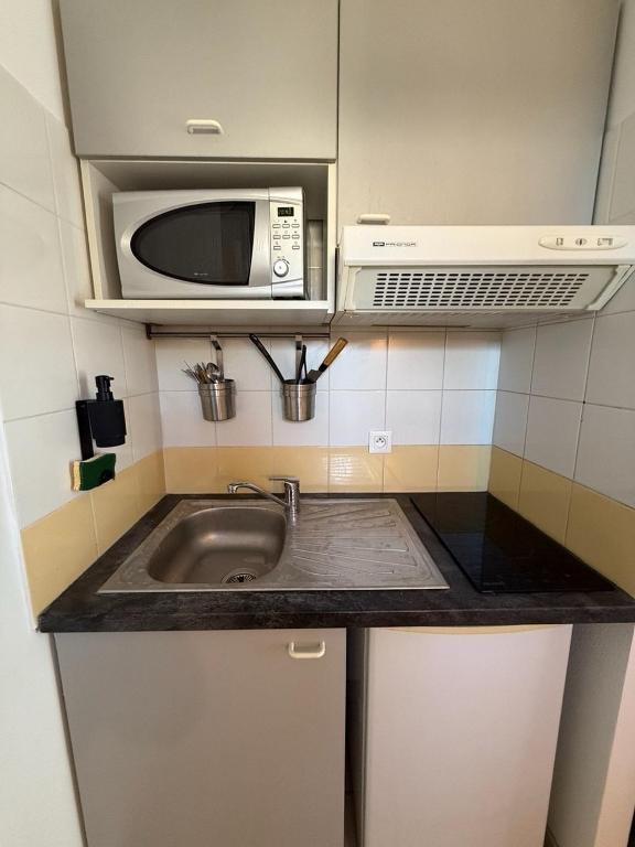 une cuisine avec un évier et un micro-ondes dans l'établissement Le clos d'AIX Célony N 7 Parking Piscine Clim, à Aix-en-Provence