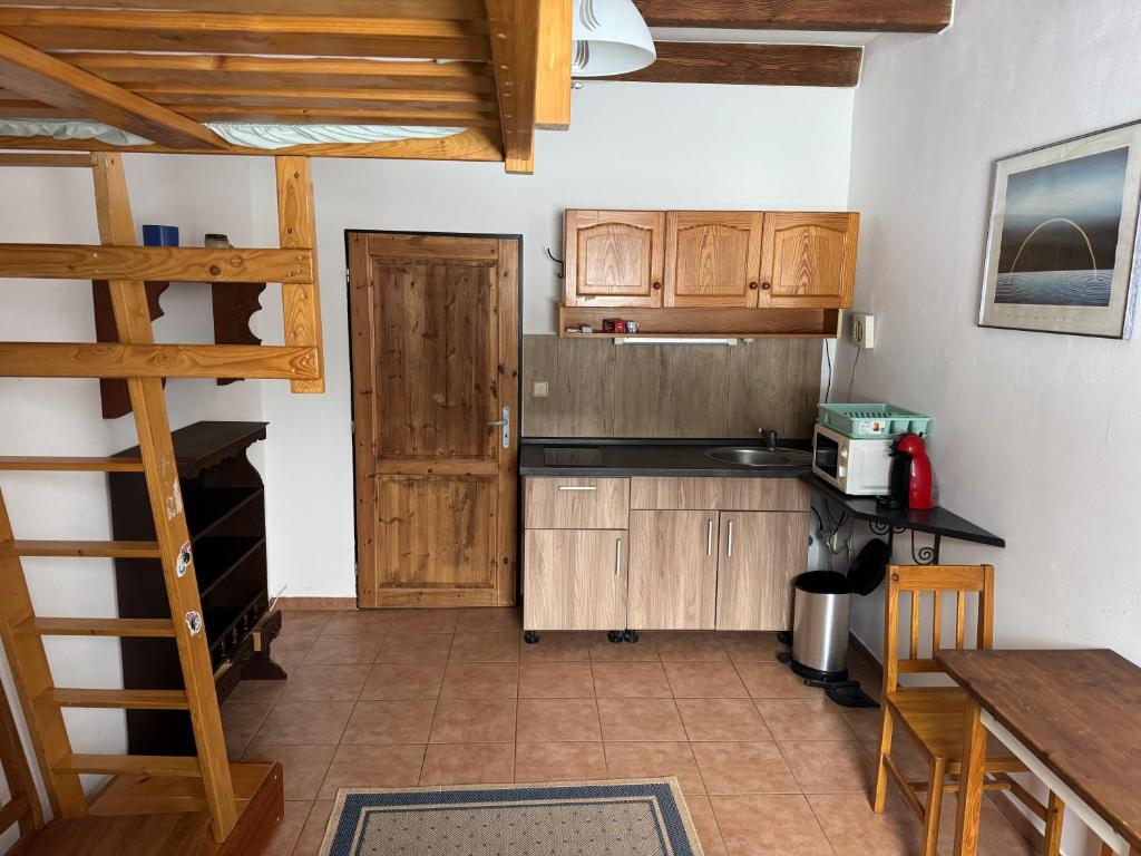 Kuchyň nebo kuchyňský kout v ubytování Studio U Vachtů