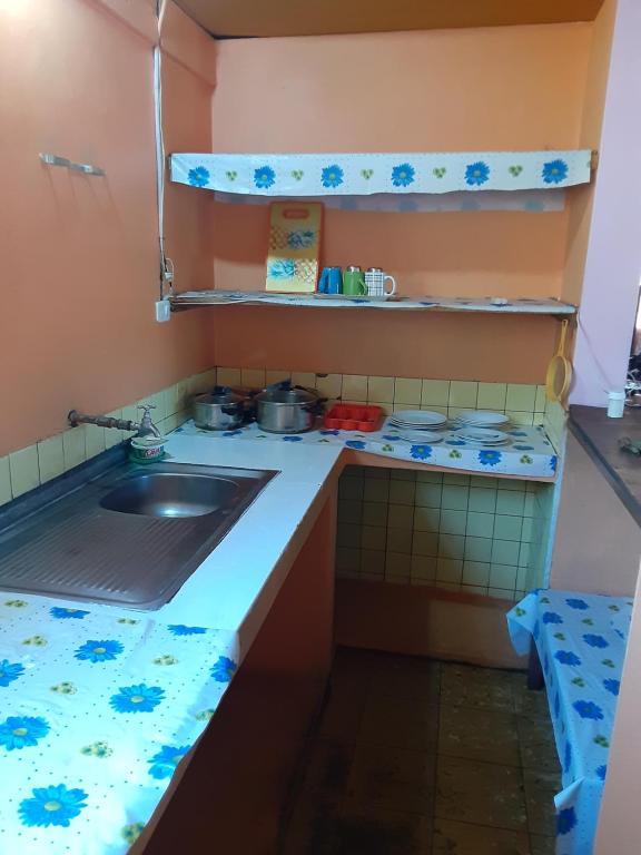 Kuchyň nebo kuchyňský kout v ubytování Hospedaje Chimborazo
