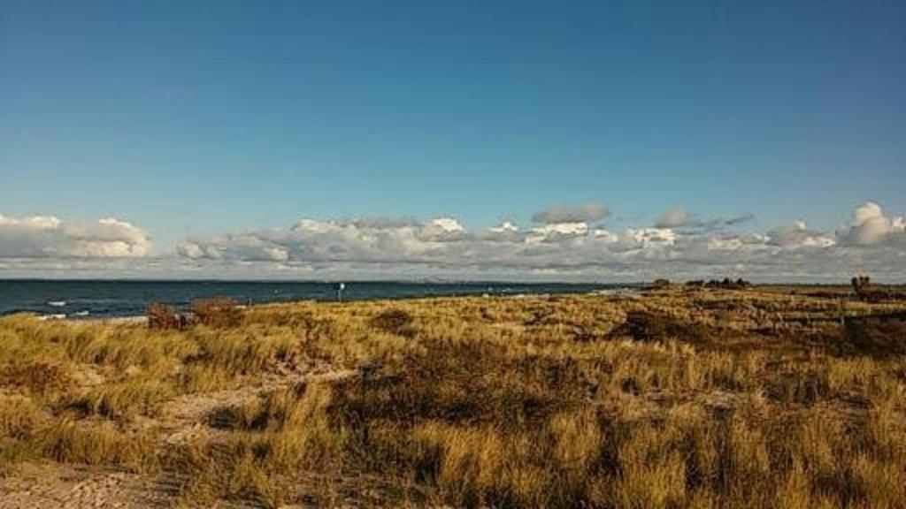 Paesaggio naturale nelle vicinanze dell'appartamento