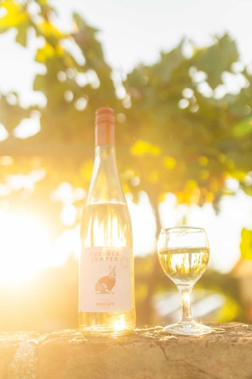 Penzion Moravská oáza - 1