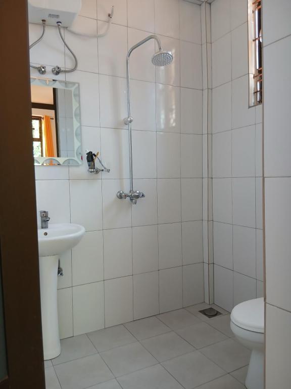 a bathroom with a shower and a toilet and a sink at Hidalgo Explorers Home in Moshi