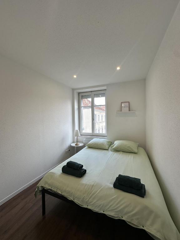Le 3 - Joli appartement T3 Mulhouse centre, Neuf, calme et tout équipé - stationnement gratuit – photo 9
