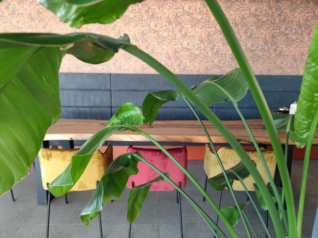 Hotel Sporting Riccione - Resim 25