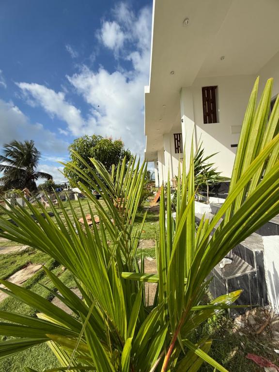 Zahrada ubytování Devon Surf Inn Arugambay