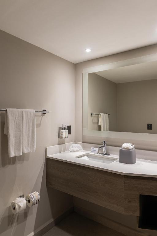 Koupelna v ubytování Holiday Inn Express Tapachula by IHG