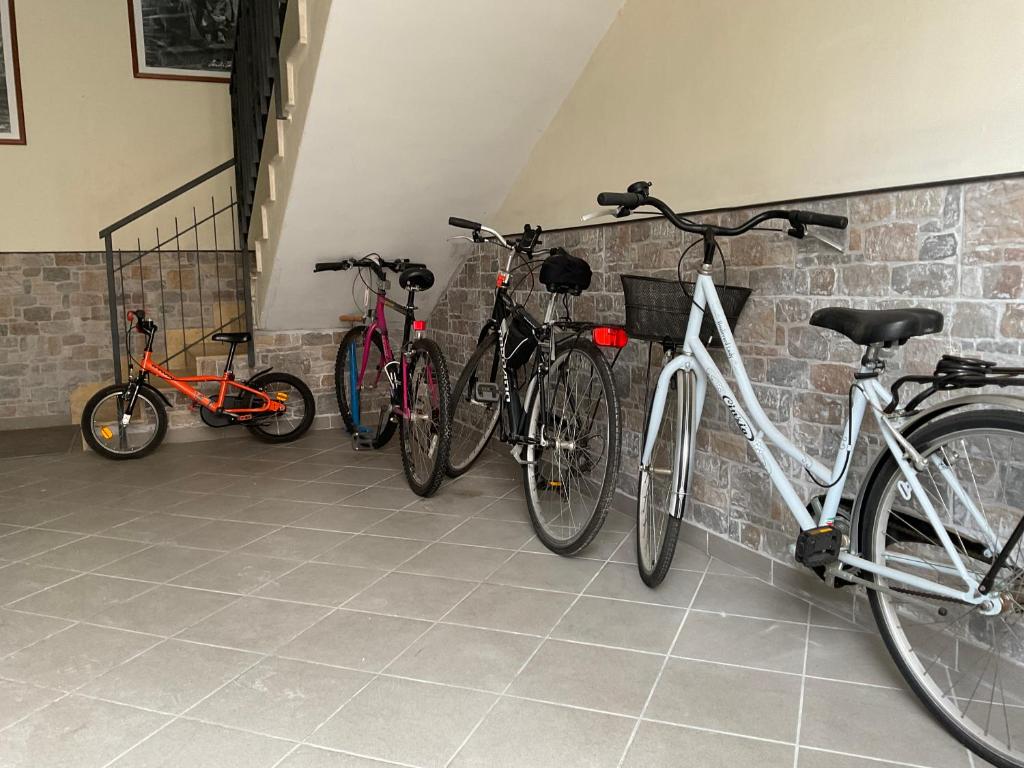 Jízda na kole v ubytování “da nonna Lucia” nebo okolí