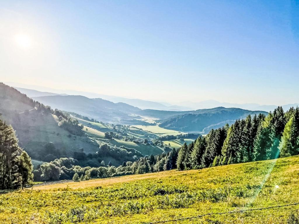 Příroda nedaleko apartmánu