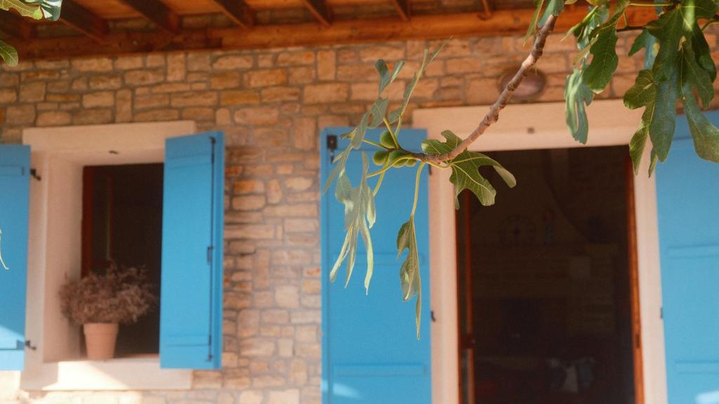 Fotografia z galérie ubytovania Kamena Kuća Mamma Mia v Sukošane