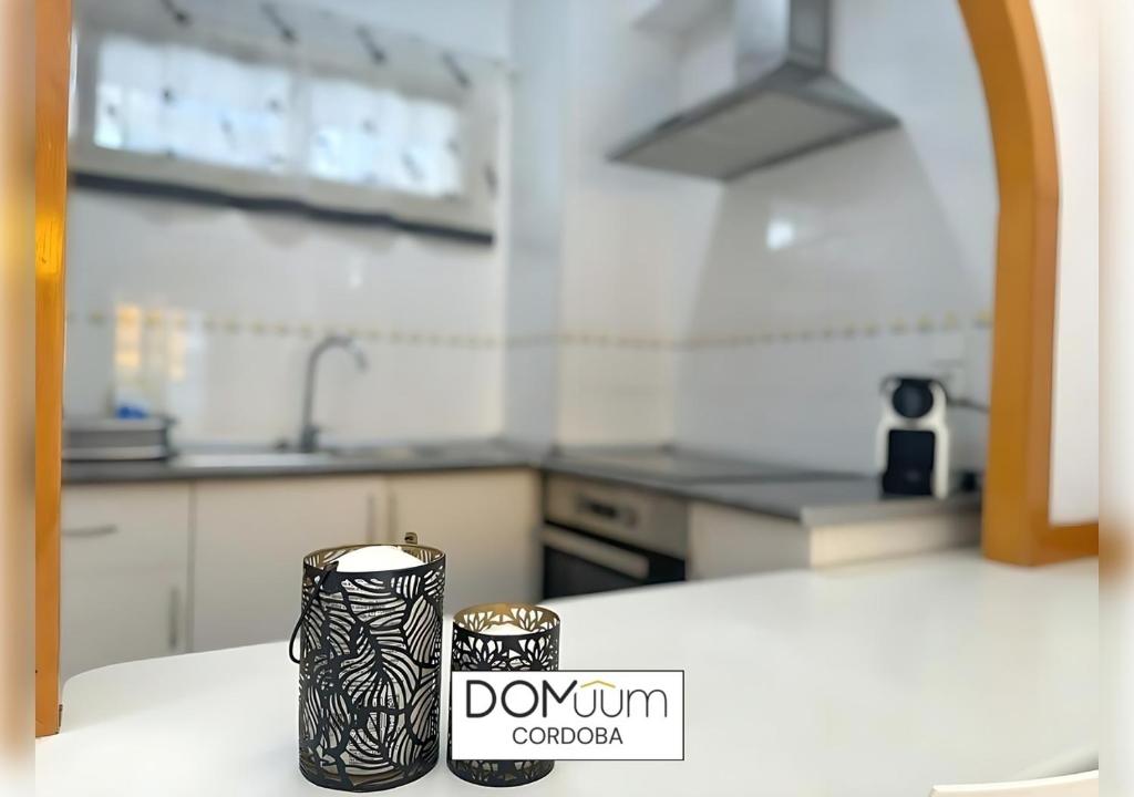 Kuchyňa alebo kuchynka v ubytovaní DOMuum Holidays - CORDOBA Apartments