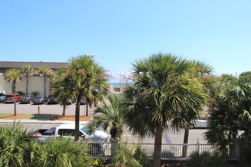 a group of palm trees in a parking lot at Sand N Surf in Folly Beach