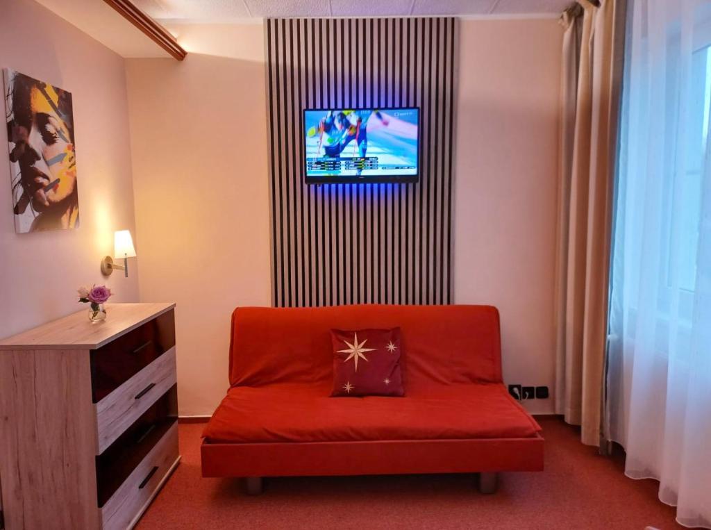TV a/nebo společenská místnost v ubytování Wellness Hotel Staré Město