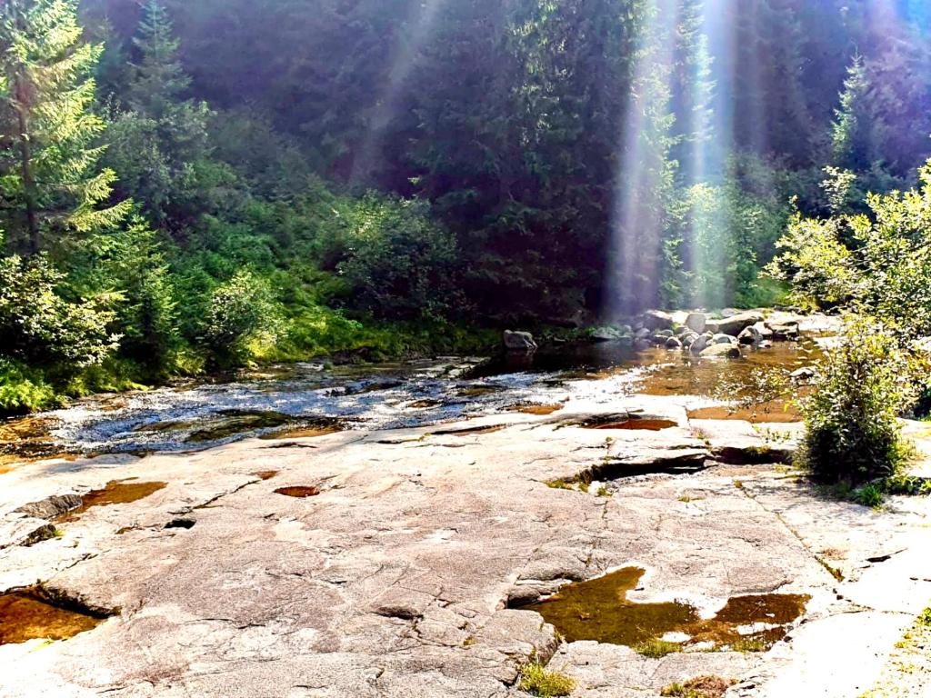 Příroda nedaleko apartmánu