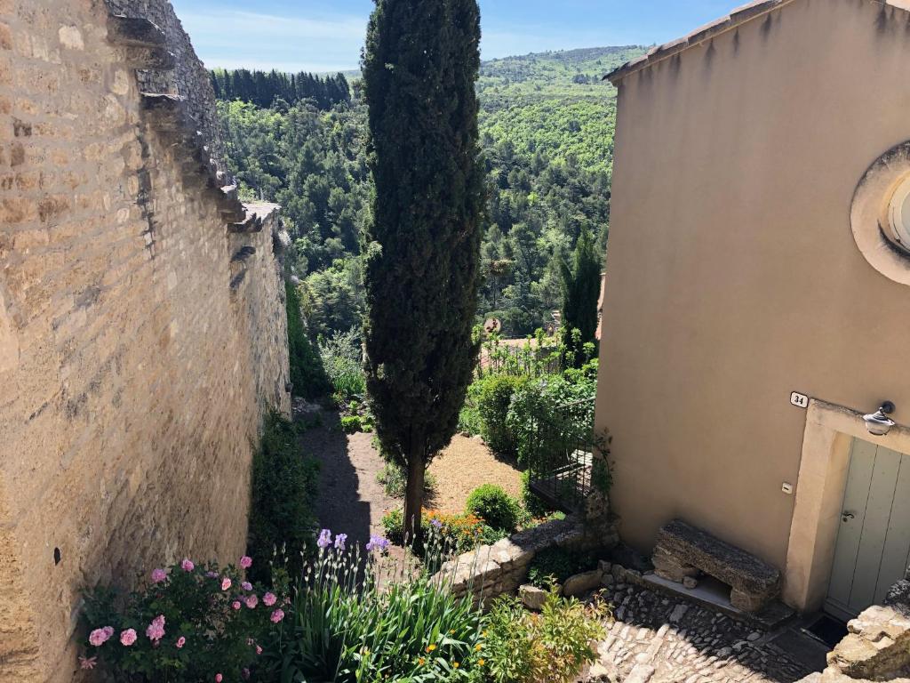 un jardin extérieur avec deux arbres et des fleurs dans l'établissement Campanina, à Bonnieux