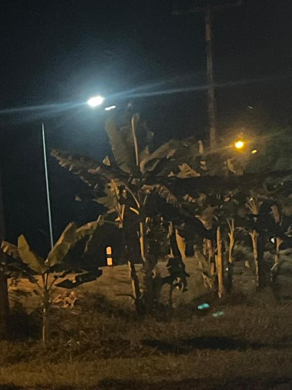 a group of people standing in a field at night at Tkp in Ban Map Pla Khao