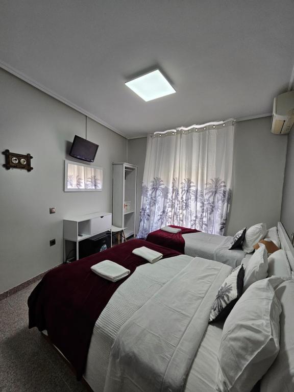 a bedroom with two beds and a television in it at CH Chelo in Madrid