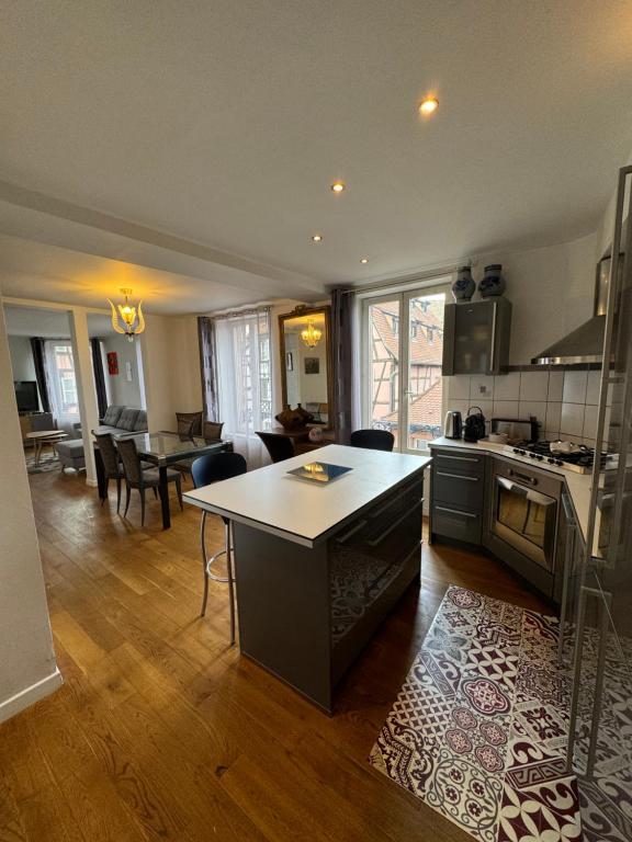 une cuisine et un salon avec une table et des chaises dans l'établissement Appartement de Standing Hypercentre, à Colmar