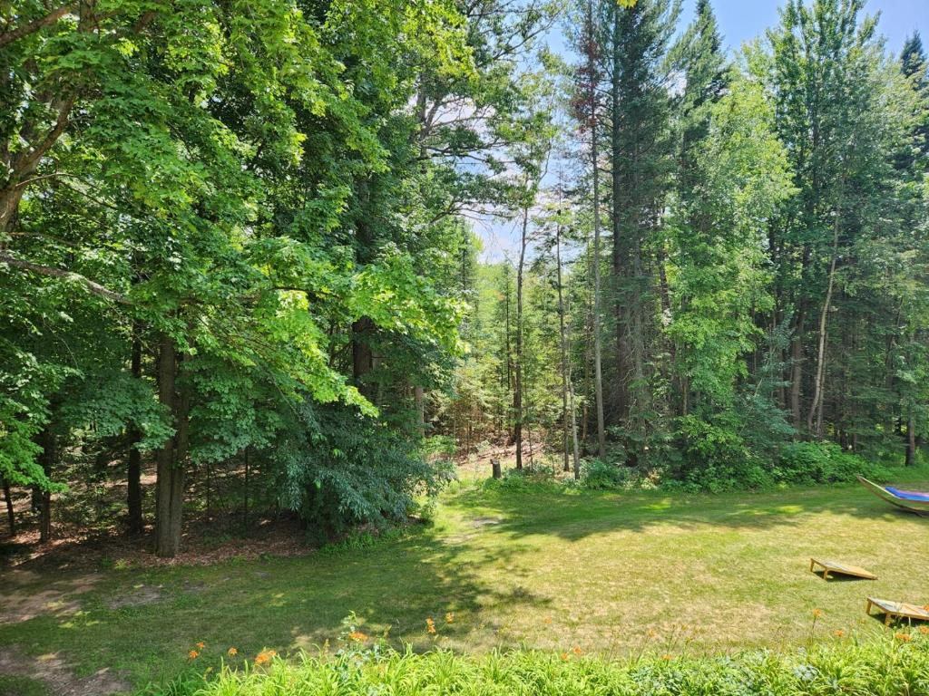 un cortile con amaca in mezzo a una foresta di Springbrook Inn East Room a Houghton Lake