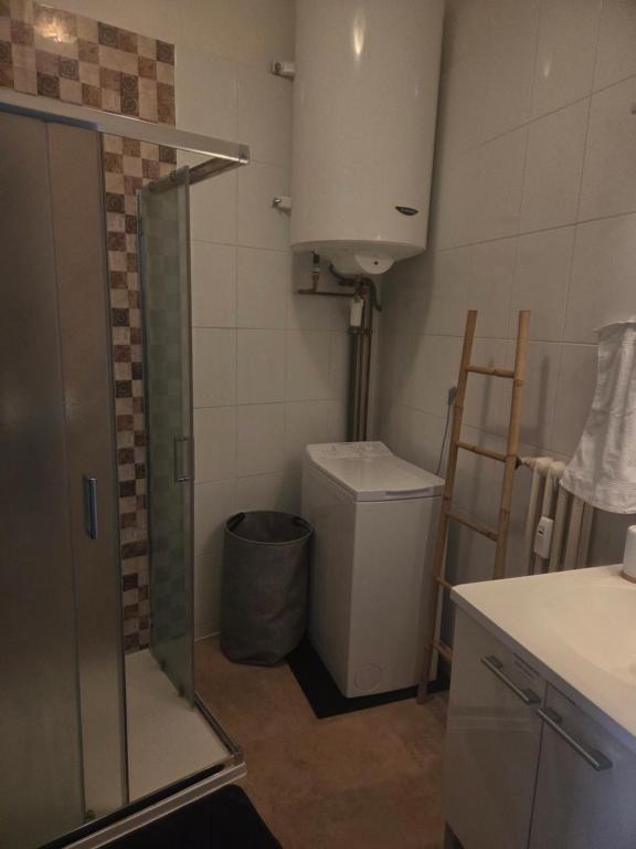 a bathroom with a shower and a trash can at Berges du Léman-cœur de Thonon in Thonon-les-Bains