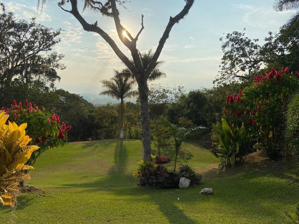 Zahrada ubytování Finca Los Arrayanes